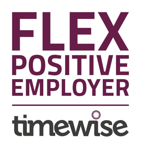 Timewise_Flex_Positive.jpg
